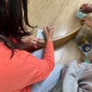 안화초교 이미지