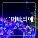 송파구 석촌호수의 가을과 겨울을 밝게 비춰줄 루미나리에.축제의 현지경관조명전시 사진담기 (Dream,Universe & Love) 이미지