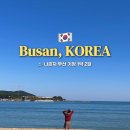 GS25 삼척금빛점 | 나혼자 부산 기장 1박 2일 코스 추천(베스트루이스해밀턴 오션테라스, 해동용궁사, 죽성드림세트장...