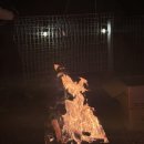 숲속캠핑장 | 대구 칠곡 캠핑장 #별품은숲속캠핑장 내돈내산 후기