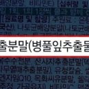 사과약국 네이버블로그