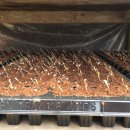 조종농약사 이미지