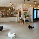 아띠라미 이미지