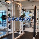 고잔동PT 1:1 수업 후기ㅣ일루고짐&amp;PT 안산고잔점