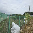 경주농장2 이미지