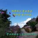 타워 공인중개사사무소 이미지