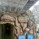 GS25대공원리프트점 | 비 오는 날 서울랜드 놀이기구 우비 가격