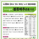 춘동 이미지