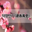 만리로 티스토리