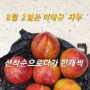 안고20 비마회 tennis 이미지