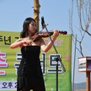 봄맞이 콘서트가 열리는 사문진 주막촌엔 인꽃들로 활짝..!!!!!! 이미지
