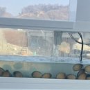 박혜경 예담추어명가 이미지