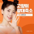 감동성형외과의원 이미지