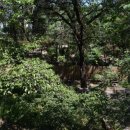 방이습지 화장실 이미지