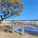 조천초등학교 병설유치원 이미지