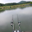 그린 낚시터 이미지