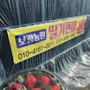 보광농장 네이버블로그