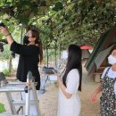 쌍류포도정원협동조합 이미지