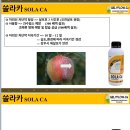 휴바스코리아 이미지