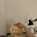 블리에왁싱