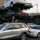 일등 자동차 이미지