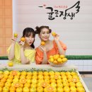 남원읍-31 이미지