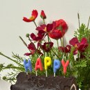 (유)우진택시 | 🍀 마지막 '25년 일상기록