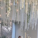 문사 | W54🤍 결혼식 여자 전문 사회자 홍지현 사회자, 결혼식 사회자 내돈내산 후기
