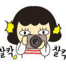 솜리원광어린이집 이미지