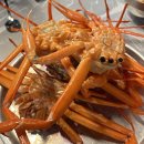 구운 자동차 나라 이미지