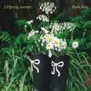 레인코어 이미지