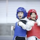 성광태권도장(성서관) 이미지