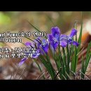 Forest Hymn (숲의 연가)/Bill Douglas (빌 더글라스) & photo by 모모수계 이미지