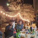 비룡종합광고