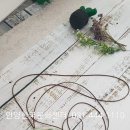 안양쌈지 이미지