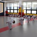 경희대 에이스 태권도 | [효천지구태권도학원] 봄철 황사·미세먼지에도 실내에서 안전하게 운동하는 경희대에이스태권도장