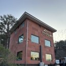 카페인하원 이미지