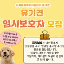 희망복지센터(주) | 서울동물복지지원센터 유기견 봉사활동 하는법 후기
