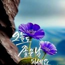 70년대 CCR 노래 이미지