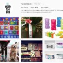 니드포펫(NEED FOR PET) | 요즘 근황 -