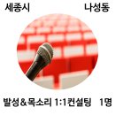 [모집중][세종시 나성동] 발성&amp;목소리 1:1 진단(스피치) 체험단 모집