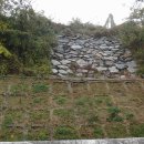 월성중학교 이미지