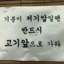공룡고기 이미지