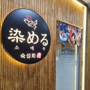 안산 초지역 횟집 고급스러운 붕장어 사시미- 소메루