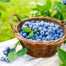 블루베리짐 이미지