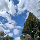 음절공원 이미지