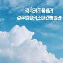별빛키즈 애견 풀빌라 이미지