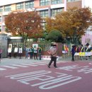 (학교)신영초 이미지