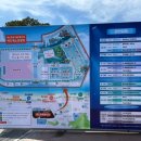 고잠2길 2 | 보령머드축제 2025 후기, 머드체험 워터파크 공연까지 한방에 즐기는 여름 대축제!