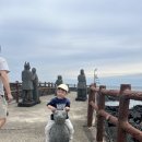 덕이네농장 이미지